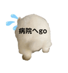 ましろおもち産直毎日スタンプ2（個別スタンプ：4）
