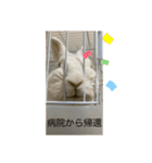 ましろおもち産直毎日スタンプ2（個別スタンプ：5）