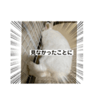 ましろおもち産直毎日スタンプ2（個別スタンプ：6）