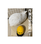 ましろおもち産直毎日スタンプ2（個別スタンプ：13）