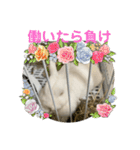 ましろおもち産直毎日スタンプ2（個別スタンプ：18）
