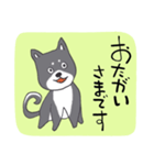 前向き言葉と黒い柴犬（個別スタンプ：8）