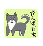 前向き言葉と黒い柴犬（個別スタンプ：11）