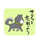 前向き言葉と黒い柴犬（個別スタンプ：13）