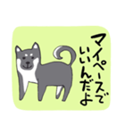 前向き言葉と黒い柴犬（個別スタンプ：21）