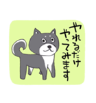 前向き言葉と黒い柴犬（個別スタンプ：22）