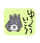 前向き言葉と黒い柴犬（個別スタンプ：24）