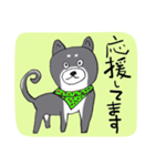 前向き言葉と黒い柴犬（個別スタンプ：26）