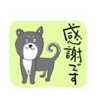 前向き言葉と黒い柴犬（個別スタンプ：28）