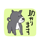 前向き言葉と黒い柴犬（個別スタンプ：35）