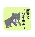 前向き言葉と黒い柴犬（個別スタンプ：36）