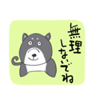 前向き言葉と黒い柴犬（個別スタンプ：39）