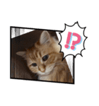 コンスタ4（個別スタンプ：9）