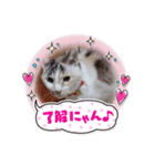 愛ちゃんとマリン（個別スタンプ：3）