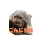 愛ちゃんとマリン（個別スタンプ：4）