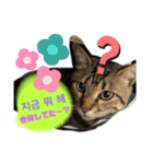 エギメロ(ハングル)（個別スタンプ：9）