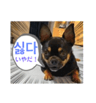 エギメロ(ハングル)（個別スタンプ：14）