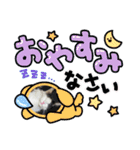 シロシロシロ（個別スタンプ：5）