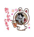 シロシロシロ（個別スタンプ：8）