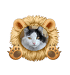 シロシロシロ（個別スタンプ：9）