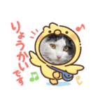 シロシロシロ（個別スタンプ：10）