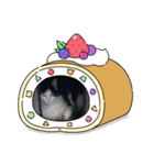 シロシロシロ（個別スタンプ：16）