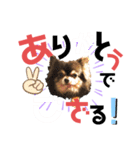ワンダフルぶぶ助（個別スタンプ：5）