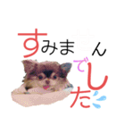 ワンダフルぶぶ助（個別スタンプ：6）