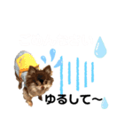 ワンダフルぶぶ助（個別スタンプ：7）