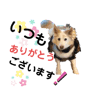 ワンダフルぶぶ助（個別スタンプ：9）