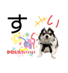 ワンダフルぶぶ助（個別スタンプ：12）