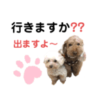 ワンダフルぶぶ助（個別スタンプ：14）