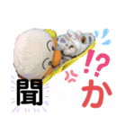 ワンダフルぶぶ助（個別スタンプ：15）