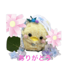 あまぴーちゃん（個別スタンプ：4）
