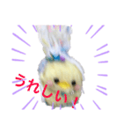 あまぴーちゃん（個別スタンプ：5）