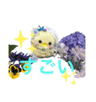 あまぴーちゃん（個別スタンプ：6）