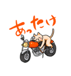 バイクが好きな猫のスタンプ（個別スタンプ：7）