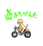 バイクが好きな猫のスタンプ（個別スタンプ：17）