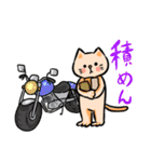 バイクが好きな猫のスタンプ（個別スタンプ：39）