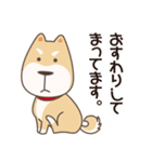 シバワン 気まぐれワンコの生活（個別スタンプ：5）
