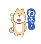 シバワン 気まぐれワンコの生活（個別スタンプ：9）