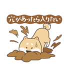 シバワン 気まぐれワンコの生活（個別スタンプ：21）