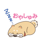 シバワン 気まぐれワンコの生活（個別スタンプ：24）