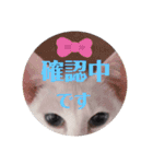 三角な猫7（個別スタンプ：16）