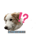 レッボー兄弟①（個別スタンプ：1）