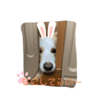 レッボー兄弟①（個別スタンプ：5）