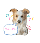 レッボー兄弟①（個別スタンプ：7）