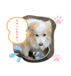 レッボー兄弟①（個別スタンプ：8）