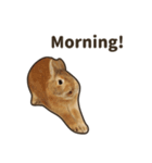What's up, Everybun！ (English ver.)（個別スタンプ：1）