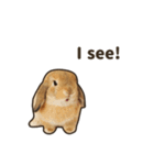 What's up, Everybun！ (English ver.)（個別スタンプ：4）